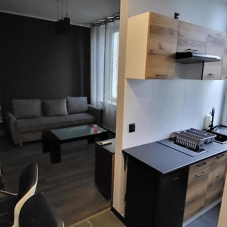 Апартаменти Apartament Pod Wieza Пйотркув-Трибунальський Екстер'єр фото