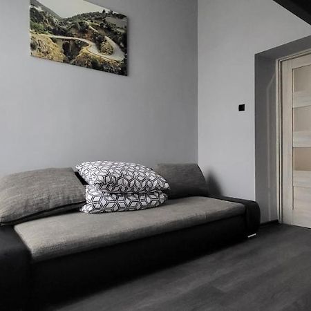Апартаменти Apartament Pod Wieza Пйотркув-Трибунальський Екстер'єр фото