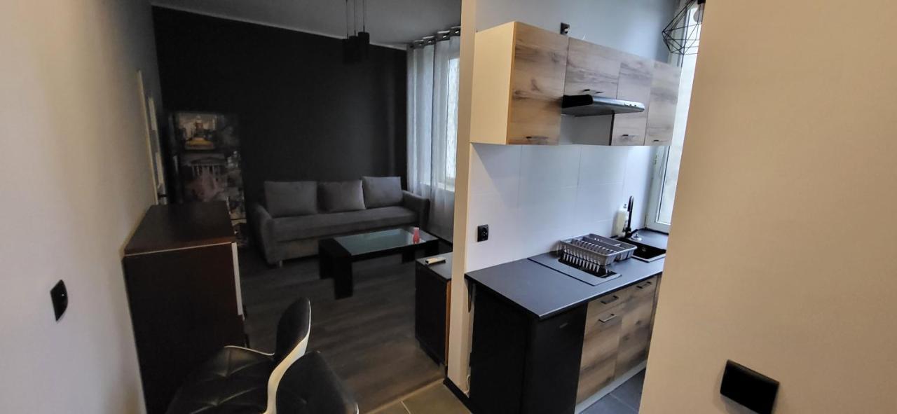Апартаменти Apartament Pod Wieza Пйотркув-Трибунальський Екстер'єр фото